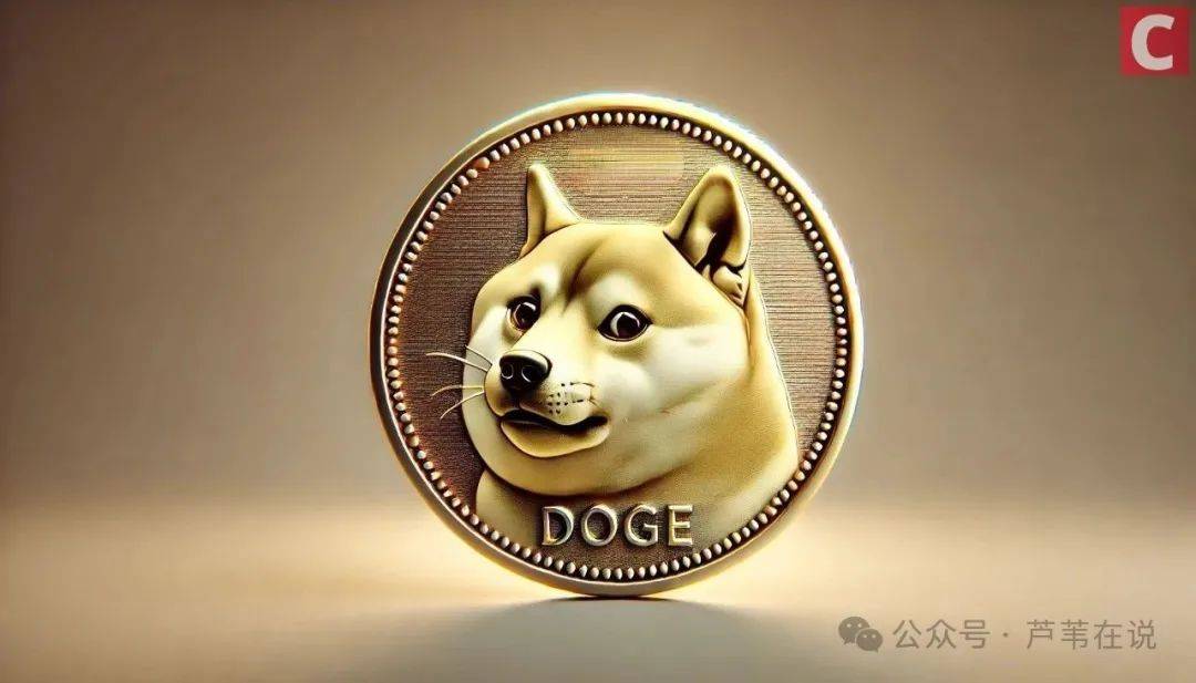 狗狗币遭遇大幅下滑超USDT%，投资者恐慌性抛售